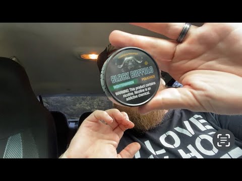 Black Buffalo Wintergreen Pouches