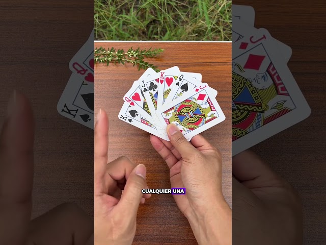 Vídeo relacionado con Cartas de tarot de escritorio, estilo de terror, herramienta de adivinación, diseño misterioso de adivinación, tarjeta de visión psicológica, baraja de orientación simbólica, ideal para reflexión