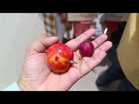 Too costly fruits....