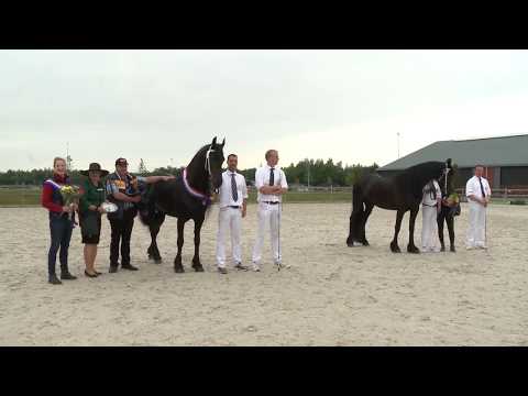 Kampioen fokdag Limburg 2017 Diamant Tr. van de Sprong