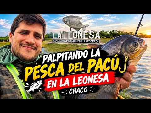 Palpitando la Pesca del Pacú 🎣 en La Leonesa Chaco 