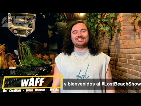 LOST BEACH SHOW - with wAFF & Chris Stussy 2020