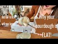 The ONE thing that makes or breaks your sourdough!