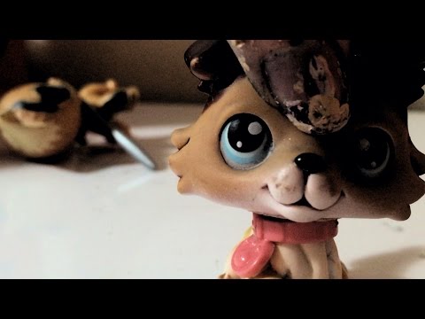 Lps Control the Blurry Sail mv