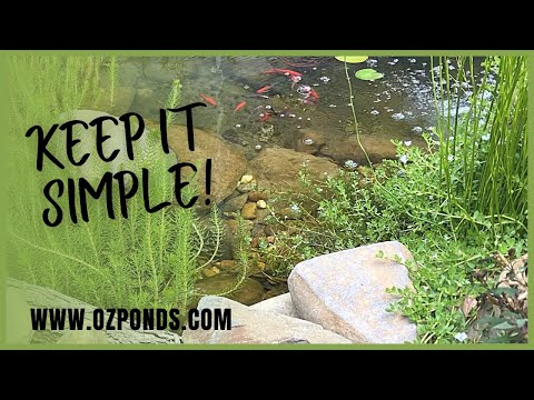 5 Keys to a healthy fish pond