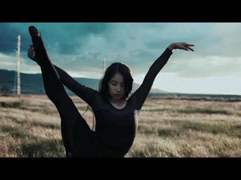 rafor - bird (official MV)