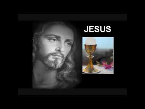 Jesus Amigo  Divina Misericordia