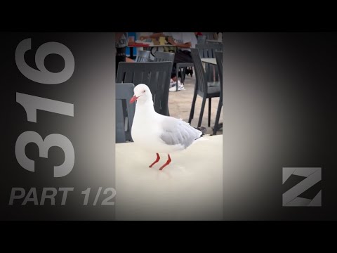 iZap4u – Zap 316 (Short Edit) Part 1/2