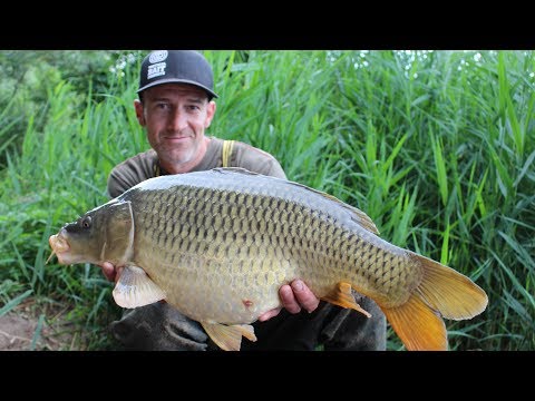 SBS Minuten - Steffen Sorge