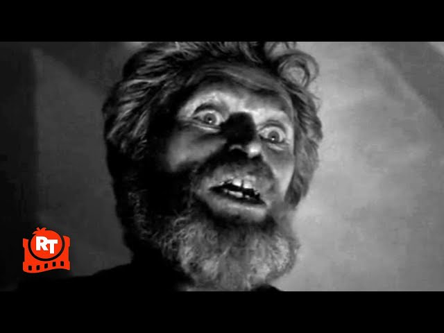 Best Acted Scenes - 1
