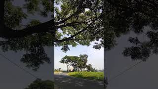 Download lagu kita saling terhalang dinding kaca#lagu #shortsvideo mp3 Download lagu kita saling terhalang dinding kaca#lagu #shortsvideo mp3