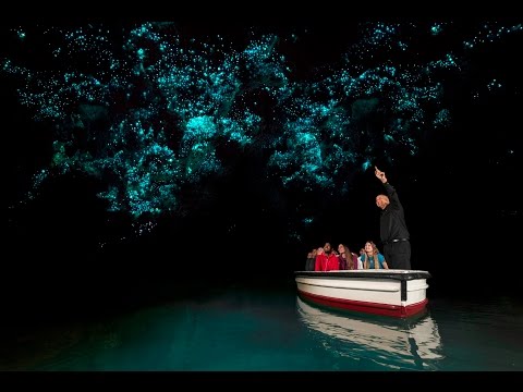 Descubra as Cavernas Waitomo Glowworm | Nova Zelândia