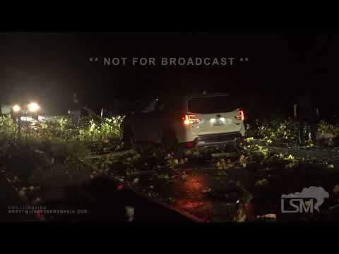 11-04-2022 Everett, WA - Strong Windstorm 300,000 Without Power