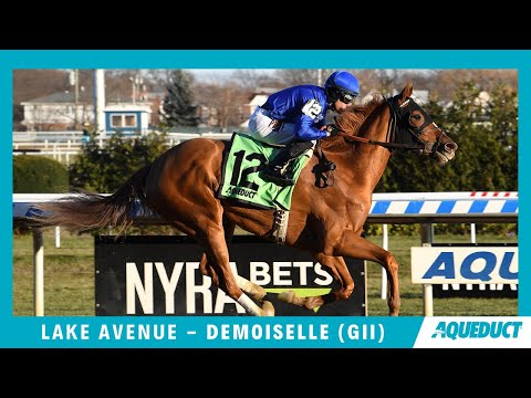 Lake Avenue Wins the Demoiselle (G2) - 2019