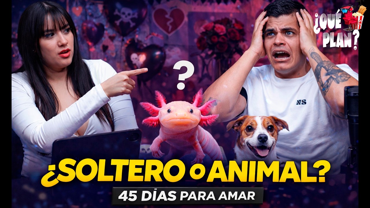 ¿SOLTERÍA ILEGAL?💔 La verdad de "The Lobster" y por qué no le gustas tanto | ¿Qué Plan? ep. 3