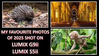 My Favourite Photos of 2025 - shot on PANASONIC LUMIX S5ii and PANASONIC LUMIX G9ii