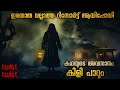 ആദ്യം പ്രേതമാണെന്ന് കരുതി പക്ഷേ സത്യ