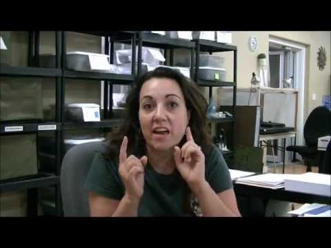 Studio Update- What's up with Valhalla and Promotions