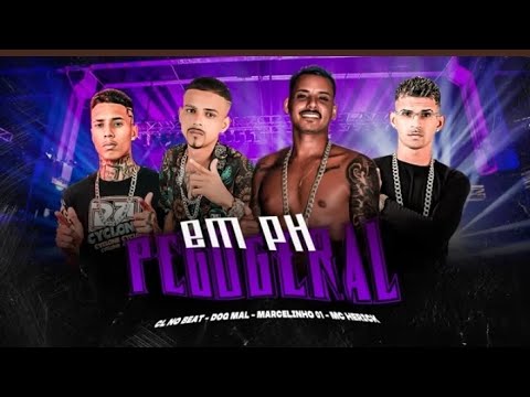 NOVINHA SAFADINHA GOSTEI MUITO DE VOCÊ - DOG MAL, CL NO BEAT, MC HERICK, MARCELINHO 01 (BREGA FUNK)