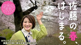 【花より酒だ】大人気花見スポットへ…酒とツマミと競馬と迎える、入社6年目の春。