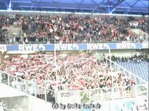 MSV Duisburg vs. 1. FC Köln