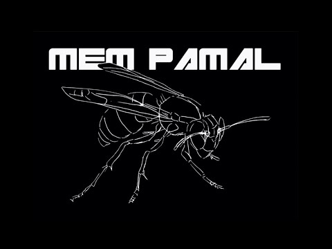MEM PAMAL - That nobody else could see Analog live machine (2016)