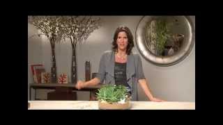 preview picture of video 'Garden Designs | how to make |  Iris Rosin'