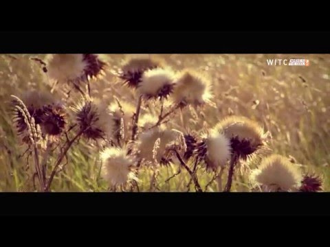 The Significant Other - Tessa May - WHERE IS THE COOL? DIGITAL MAGAZINE