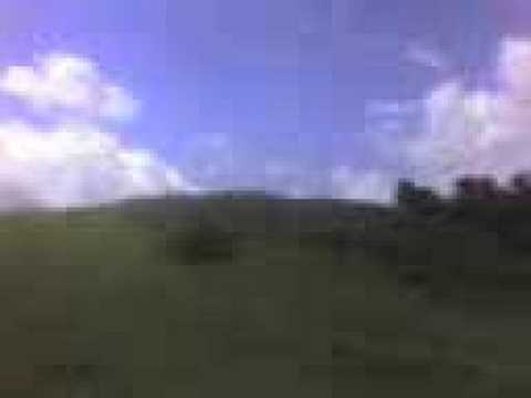 O curca nervoasa !!!!