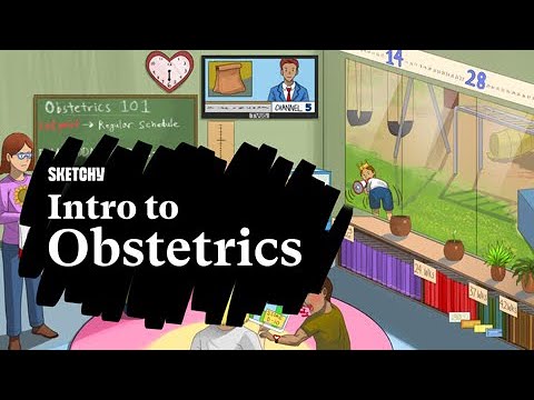 Introduction to Obstetrics with Sketchy Medical Visual Learning