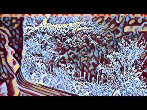 cheemgadar - Mera Pyaar [Amir Zaki cover]