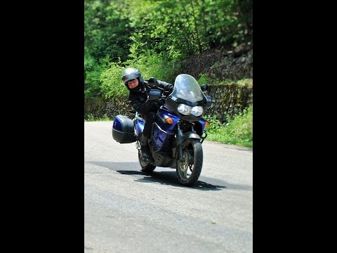 Novi Sad - Zasavica - Fruškom Gorom