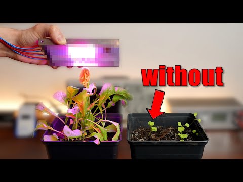 , title : '"Magical" LEDs let my plants grow faster? (Experiment) The Future of Farming!'