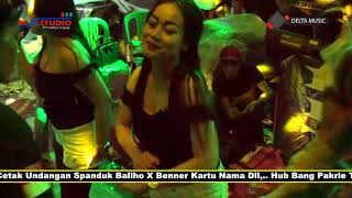 Download lagu Delta music bunga edelweis mp3