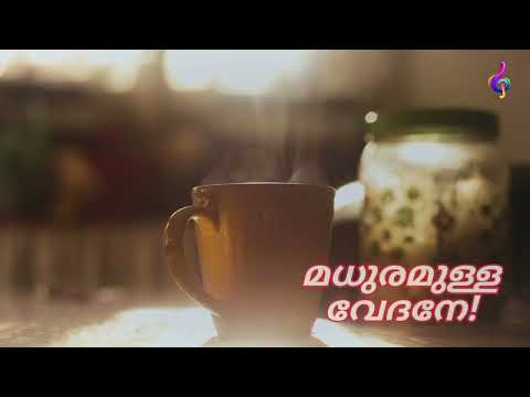 Chayappattu | Sithara Krishnakumar | Malayalam Song | Karaoke