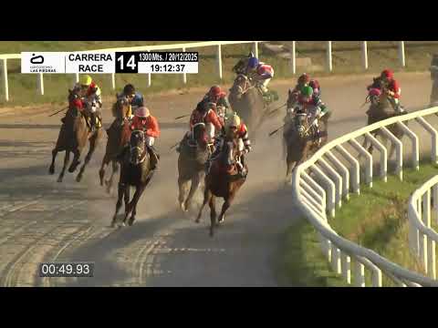 12/20/2025 – Hipodromo Las Piedras – Carr 14 – RUNNING GUN (2024)