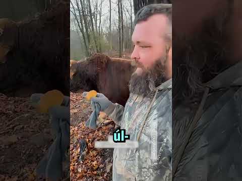 Este Granjero Pasó un Mal Rato con Este Toro