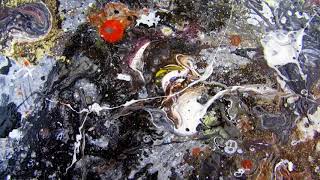 Гастрономическая Коллекция. Музыка Atomic Fireballs — Caviar & Chitlins.