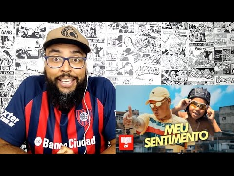 MC Ryan SP e MC Fefe ZN - Meu Sentimento (DJ Boy)