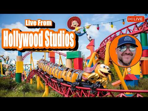 Live webcam of Theme Park Giant