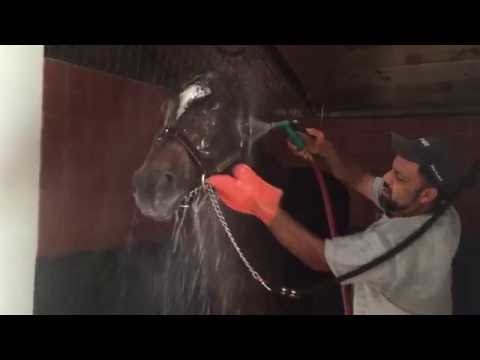 Empire Maker - Cool Shower on a Hot Day