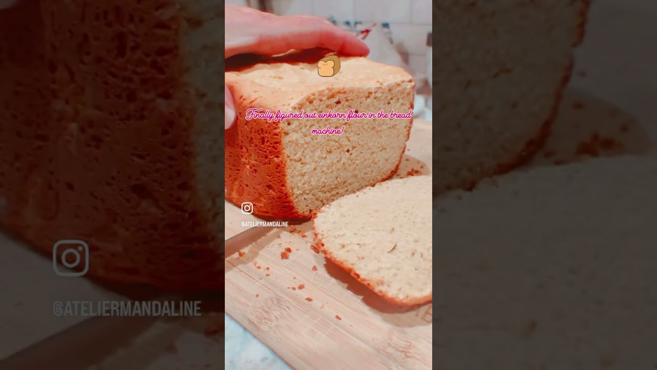 Finally got einkorn flour to work in the bread machine!
