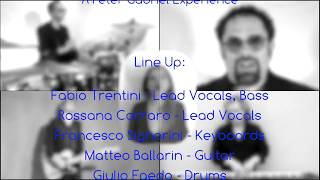 Indigo - A Peter Gabriel Experience: Don&#39;t Give Up