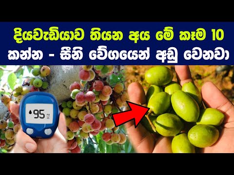 දියවැඩියාව තියන අය කන්නම ඕන කෑම ජාති 10 ක් | 10 Best Foods to Lower or Regulate Your Blood Sugar