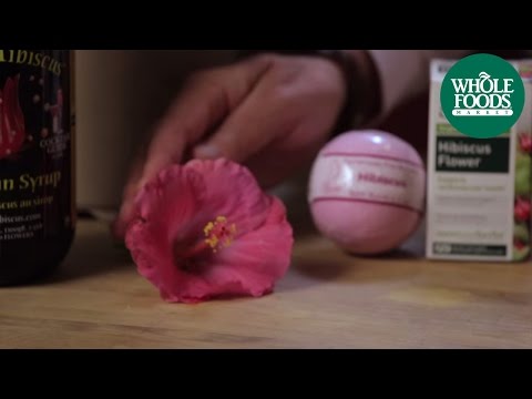 download lagu mp3 mp4 Grande Mozzarella Whole Foods, download lagu Grande Mozzarella Whole Foods gratis, unduh video klip Grande Mozzarella Whole Foods