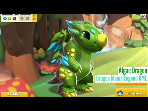 Dragon Mania Legend DML| Hatching The ALGAE DRAGON!🐲🥬