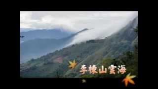 李棟山