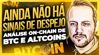 ANLISE BITCOIN, AVAX, UNISWAP, ATOM E ETHEREUM - AUGUSTO BACKES