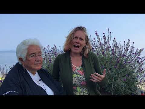 Welcome to Attachment Informed Certification