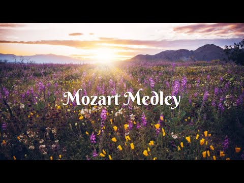 Paul Mauriat - [ Mozart Medley ] All Time Classical Music